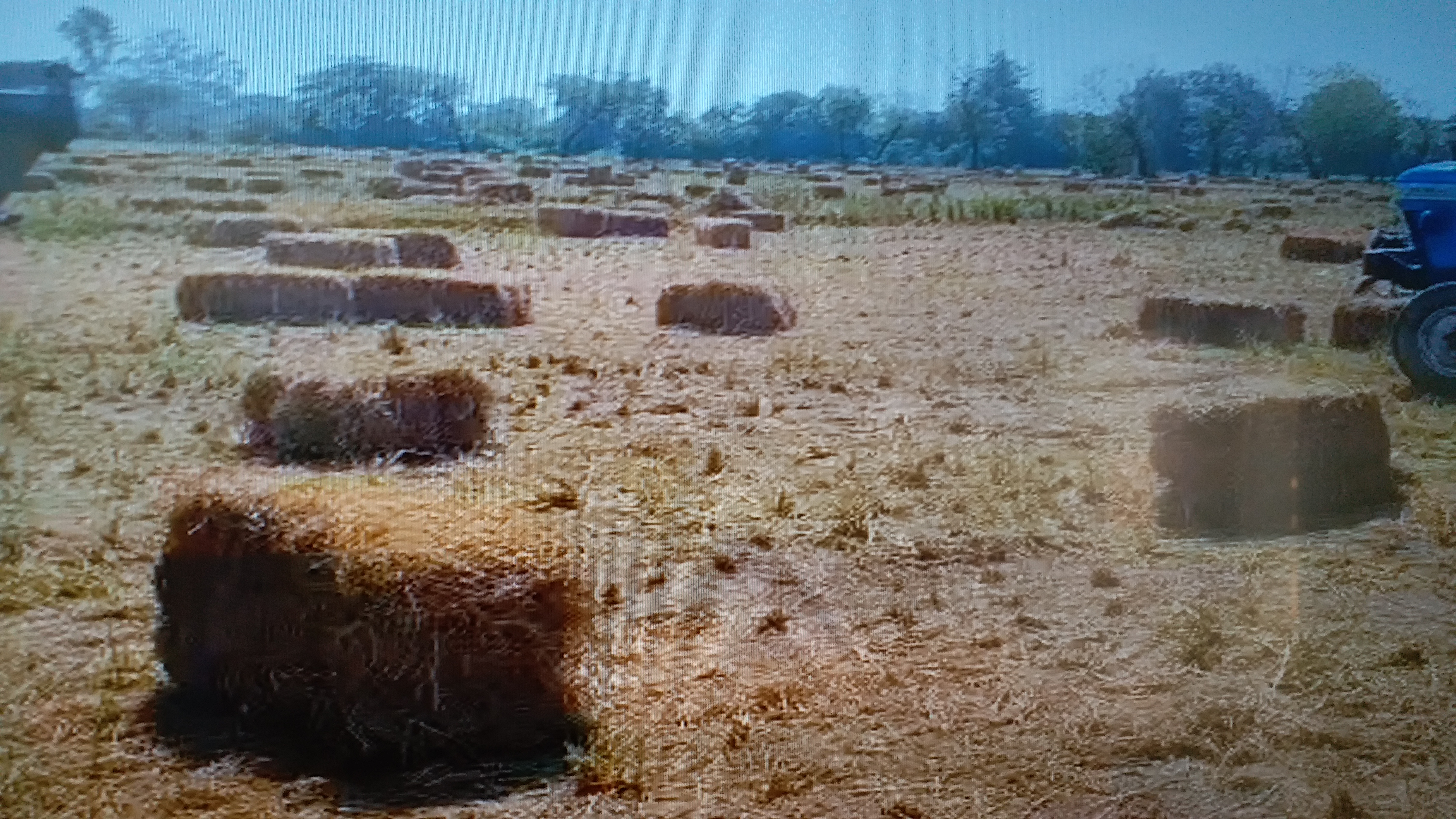 Photo Credit; ETV Bharat