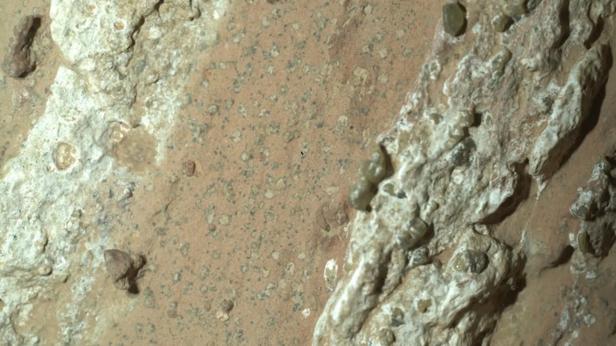 Unbelievable Discovery: Could Mars Have Harbored Ancient Life?