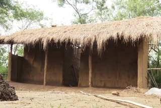 A view of the traditional Bodo tribal home