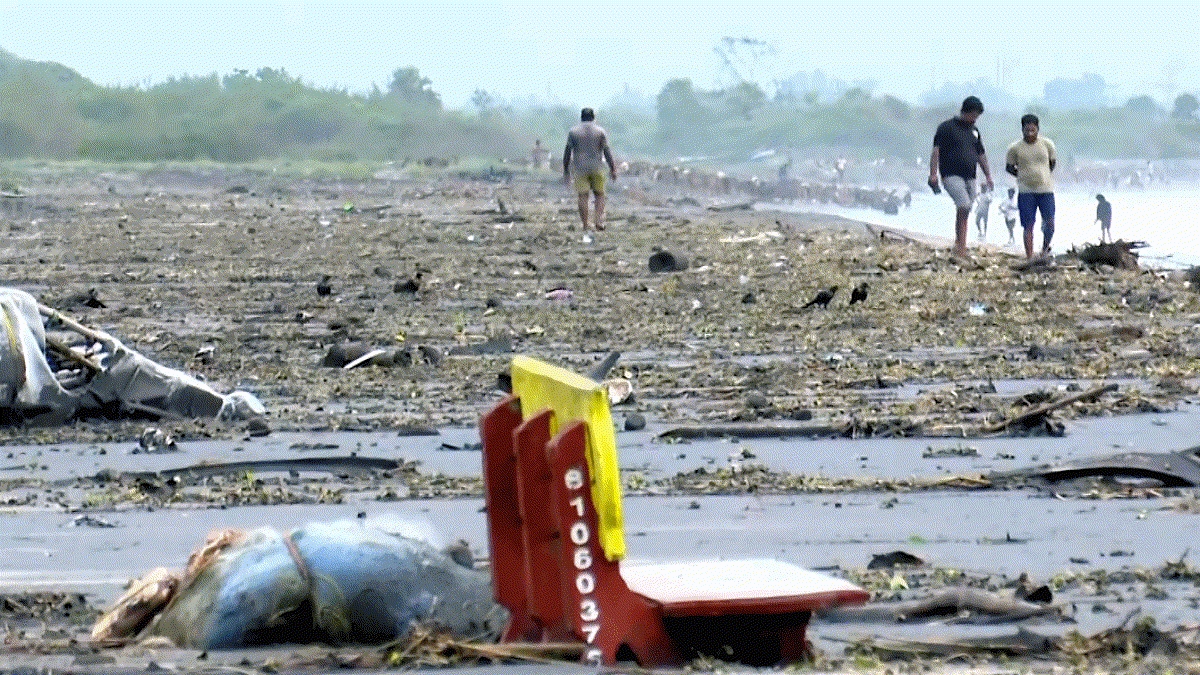 মন্থার তাণ্ডবে সবচেয়ে বেশি ক্ষতি অন্ধ্র-ওড়িশায়