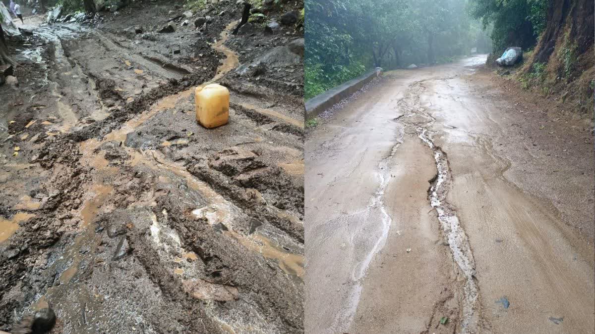 જુનાગઢ: ગિરનાર લીલી પરિક્રમા પર કમોસમી વરસાદનું સંકટ: વહીવટી તંત્રની  વિનંતી, અન્નક્ષેત્રો પર અનિશ્ચિતતા