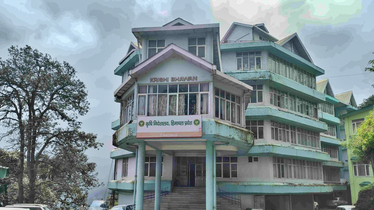 The hill state of Himachal Pradesh is showcasing itself as the front runner in promoting natural farming. The farmers are reaping the benefits of this shift from conventional farming that requires chemical inputs as the input costs in natural farming are negligible and the returns are high as the health conscious people do not shy away from spending on their health.