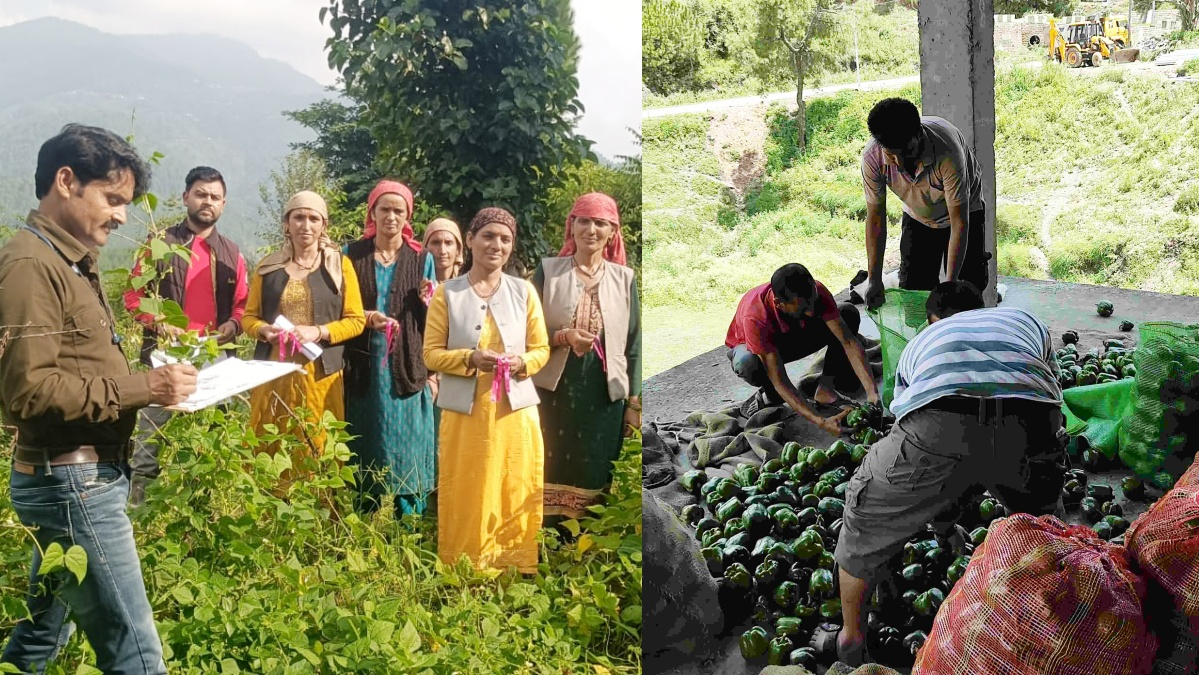 Himachal Farmers Reap Benefits as ICAR-CPRI's 'Khet Bachao Abhiyaan' Boosts Sustainable Farming