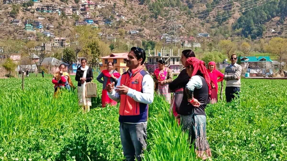 The hill state of Himachal Pradesh is showcasing itself as the front runner in promoting natural farming. The farmers are reaping the benefits of this shift from conventional farming that requires chemical inputs as the input costs in natural farming are negligible and the returns are high as the health conscious people do not shy away from spending on their health