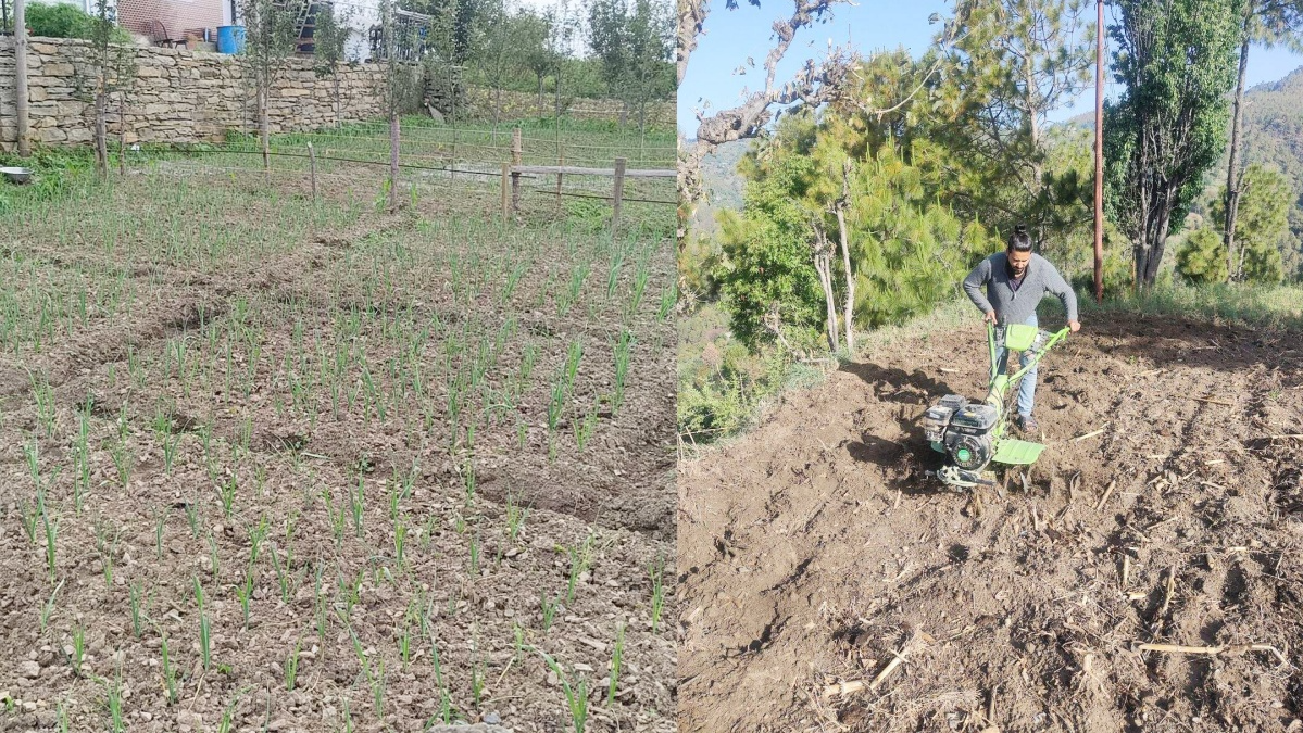 The hill state of Himachal Pradesh is showcasing itself as the front runner in promoting natural farming. The farmers are reaping the benefits of this shift from conventional farming that requires chemical inputs as the input costs in natural farming are negligible and the returns are high as the health conscious people do not shy away from spending on their health