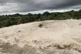 MORENA CYCLONE MOTHA IMPACT