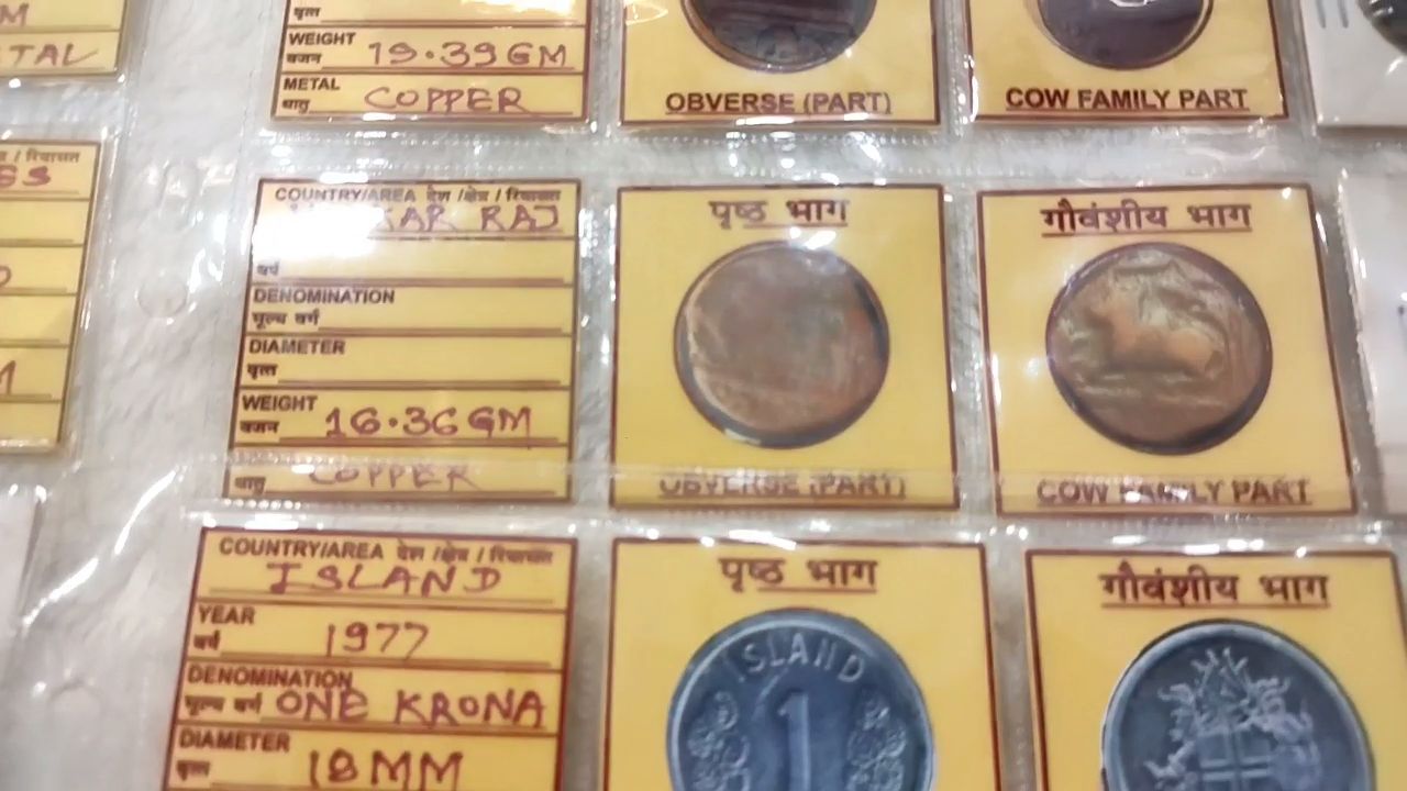 Gau Mata Photo Currency Collection