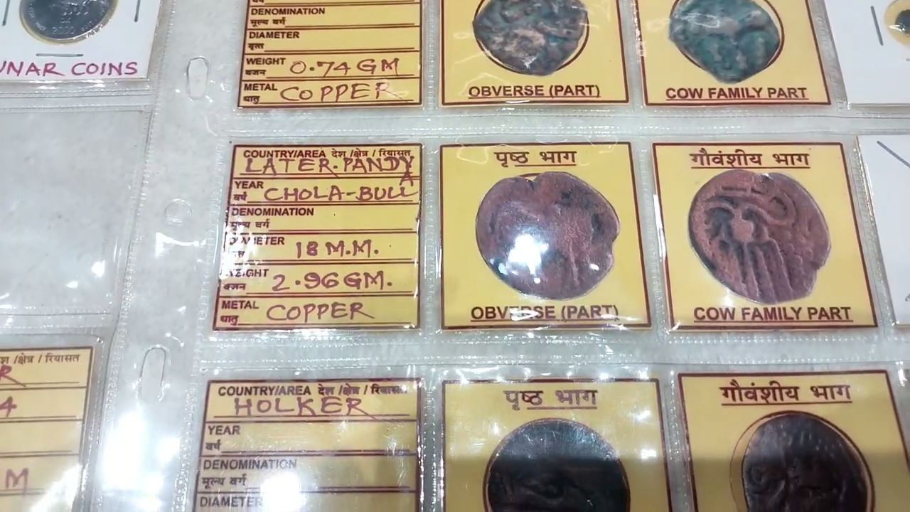 Gau Mata Photo Currency Collection