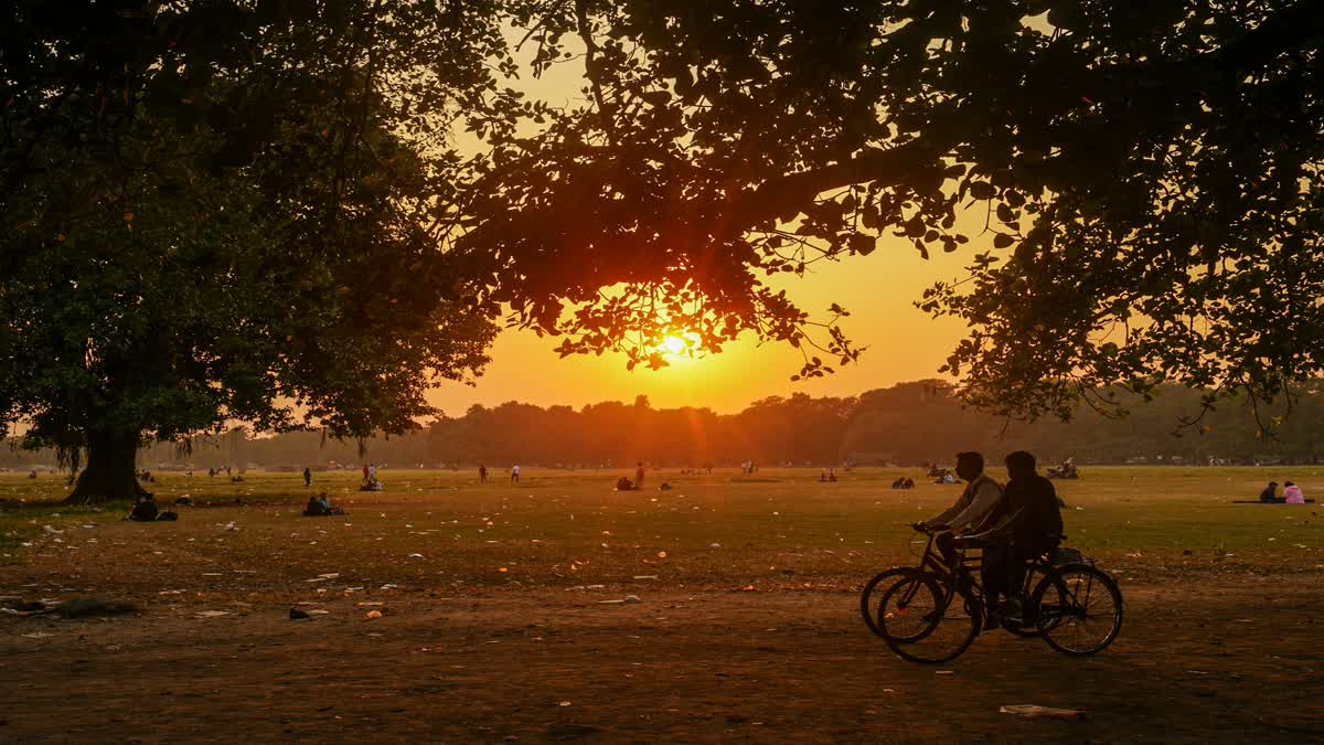 একটি ভাল ক্রেডিট কার্ড, একটি ভাল ক্রেডিট কার্ড একটি ভাল ক্রেডিট কার্ড, একটি ভাল ক্রেডিট কার্ড