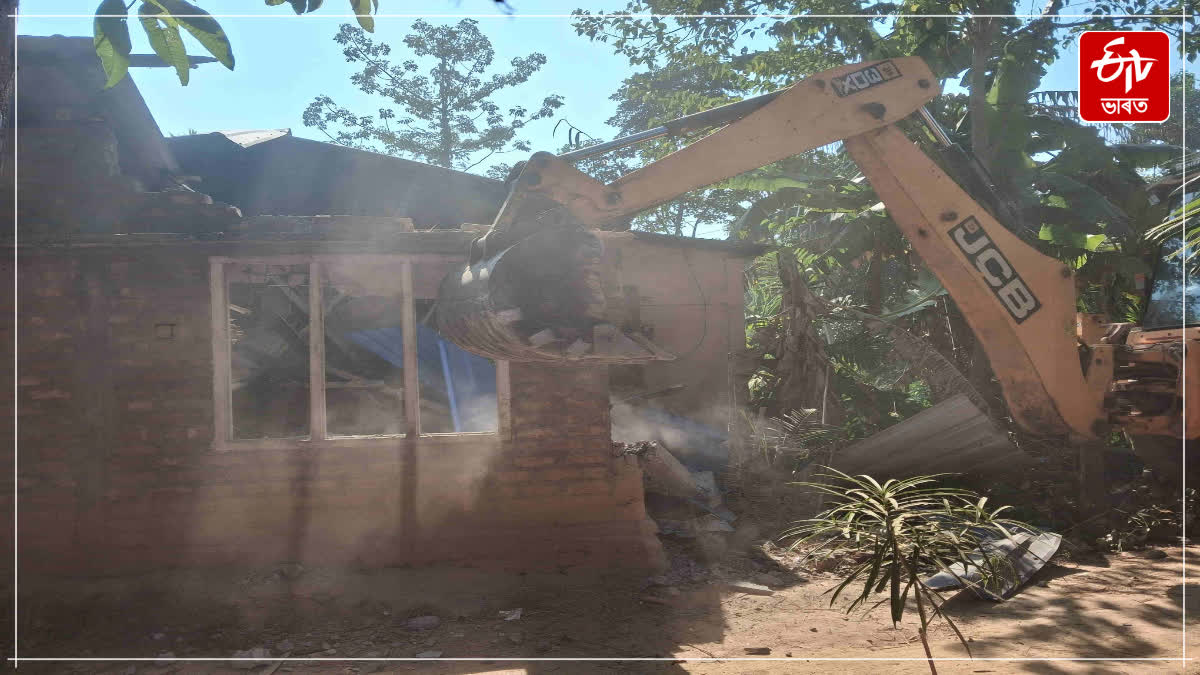 Forest Department plans to clear the Lutumari forest area of encroachments and plant trees