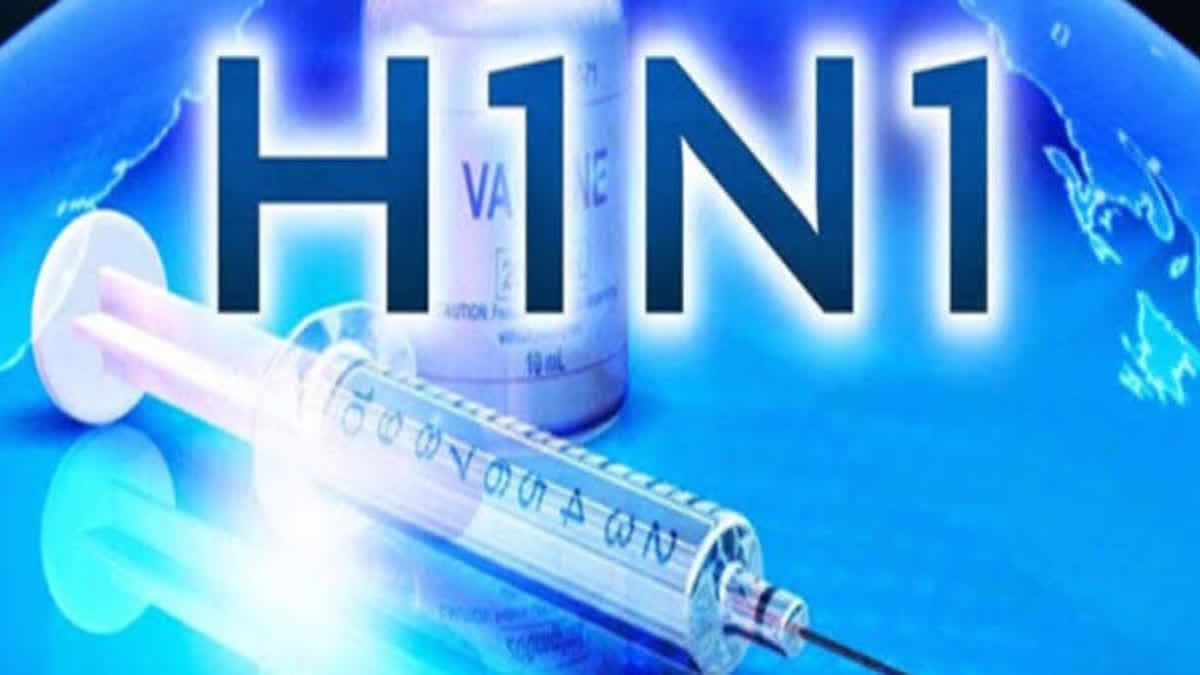 India registered 14 deaths due to Seasonal Influenza A (H1N1) this year against 347 last year. Experts said this was made possible with proper follow up of clinical management and vaccination.