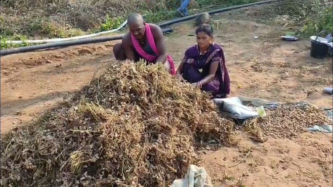 About 150 farmers in 20 villages are making natural fertilizers and using them in their fields