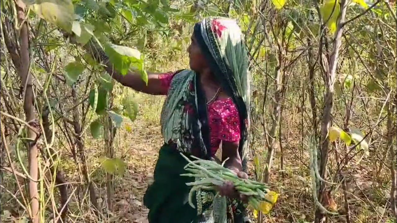 Tribal Women Lead The Way In Organic Farming, Switch From Chemicals To Cow Dung