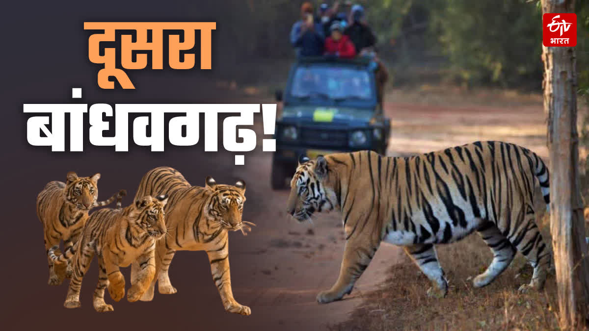 MP GOVT SECOND BANDHAVGARH PLAN