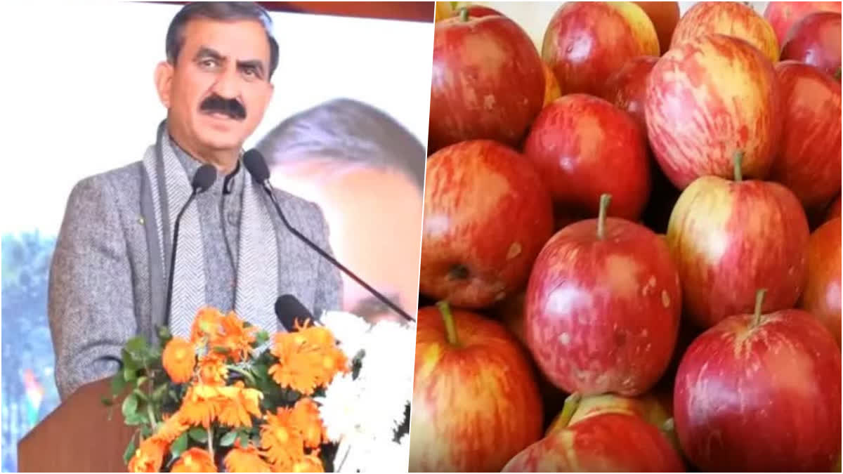 आयात शुल्क घटाने पर बोले सीएम सुक्खू