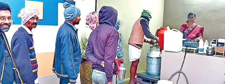 Cold is Severe Across Telangana