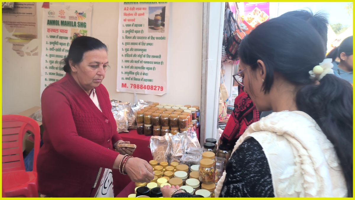 Faridabad Saras Mela 2025