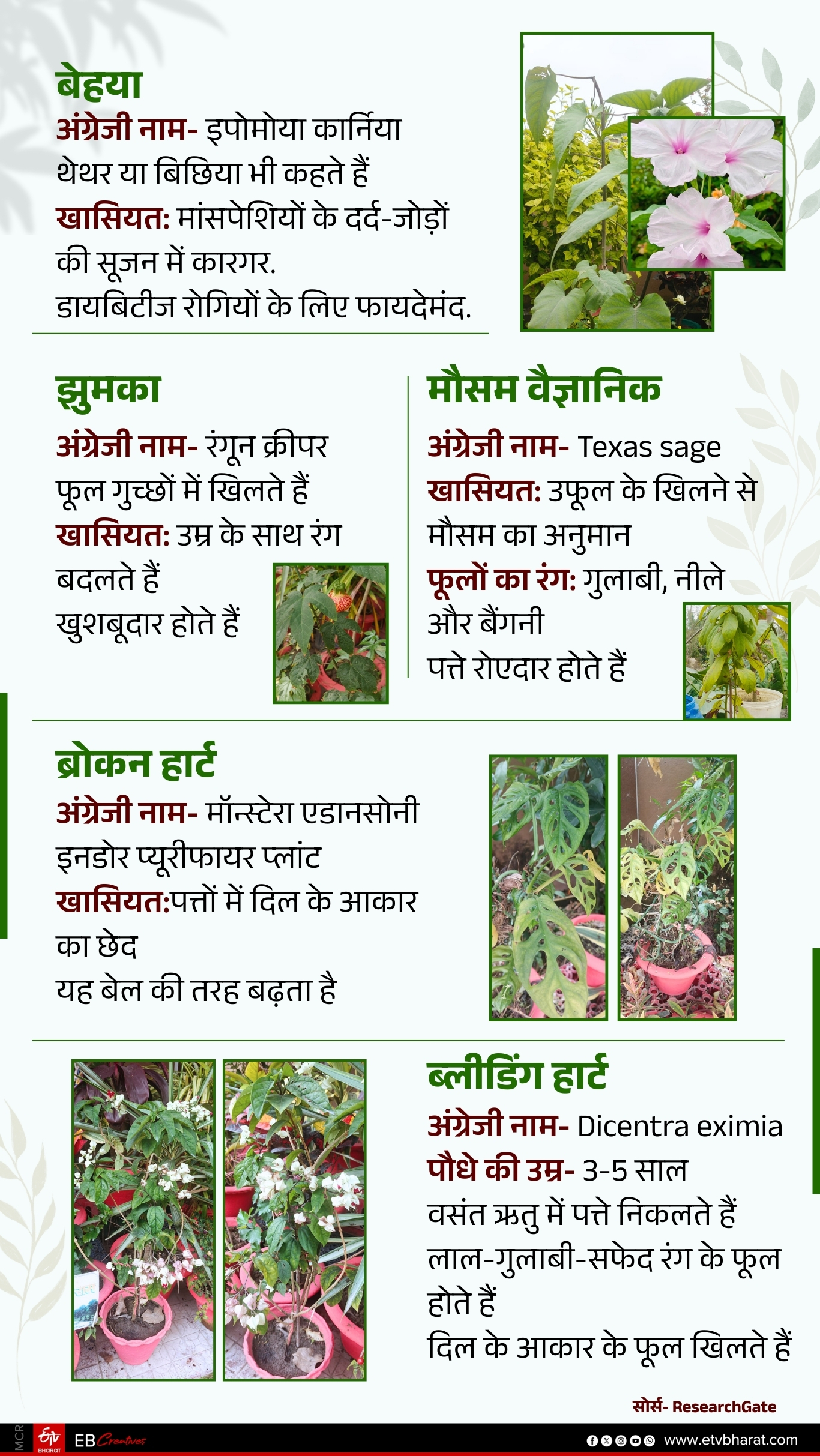 ईटीवी भारत GFX.