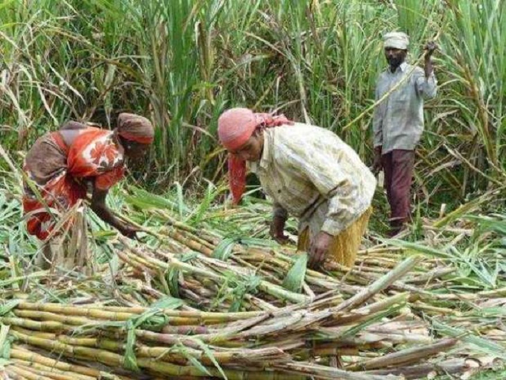 Yearender 2025 Kawardha