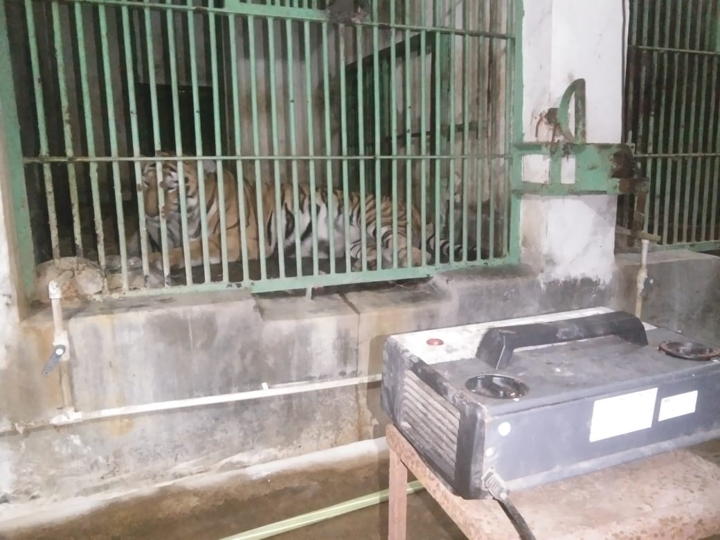 BITING COLD IN JHARKHAND