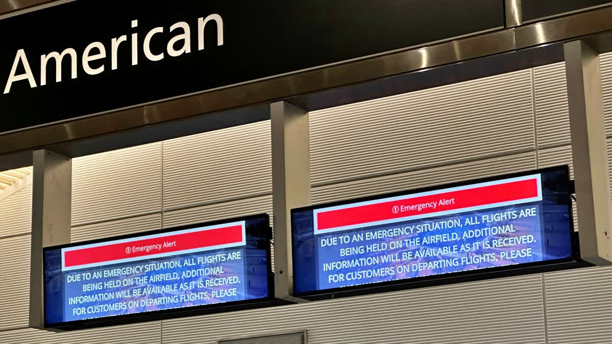 American airlines flight 294 photos - Lontgrouptravel.com