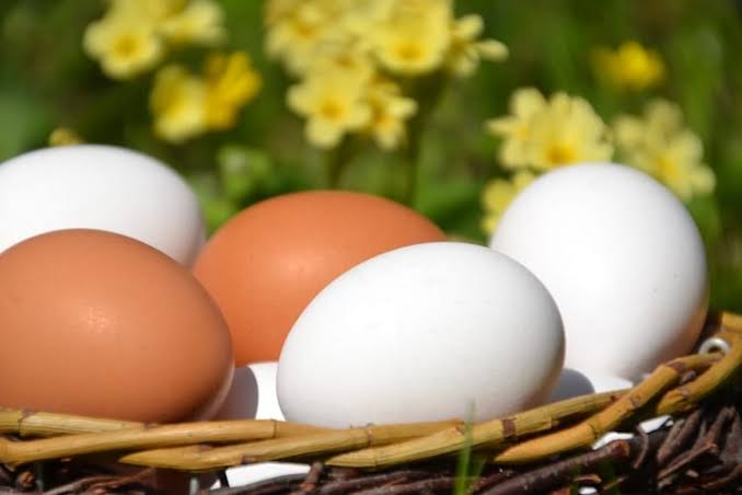 egg side effects  Eating four eggs daily will cause heart disease and insulin deficiency which will spoil your health