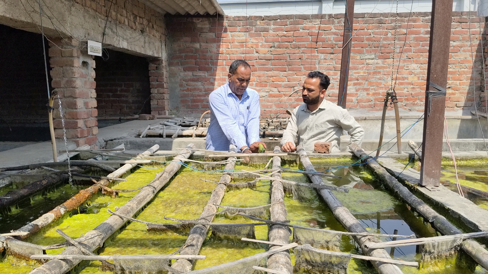 Haryana Kurukshetra Youth left engineering jobs earning crores of rupees from pearl farming supplying in Hyderabad Delhi Mumbai and abroad