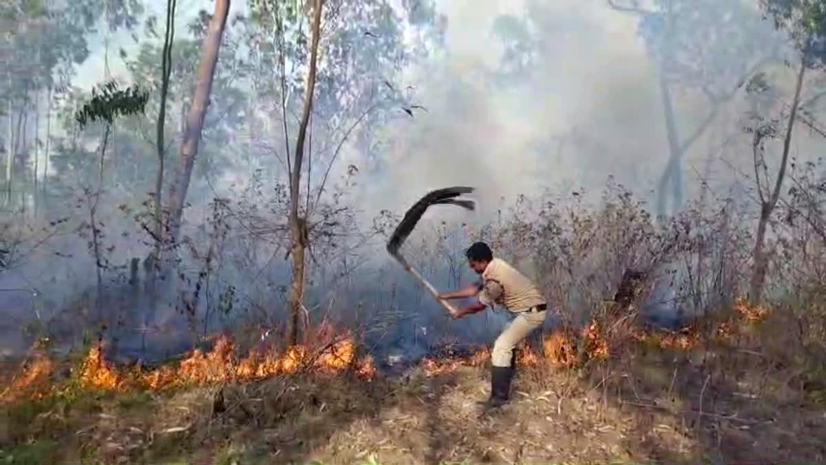 ಧಗ ಧಗಿಸುತ್ತಿದೆ ಚುರ್ಚೆಗುಡ್ಡ ಅರಣ್ಯ: ಬೆಂಕಿ ನಂದಿಸಲು ಅಗ್ನಿಶಾಮಕ ಸಿಬ್ಬಂದಿ ...
