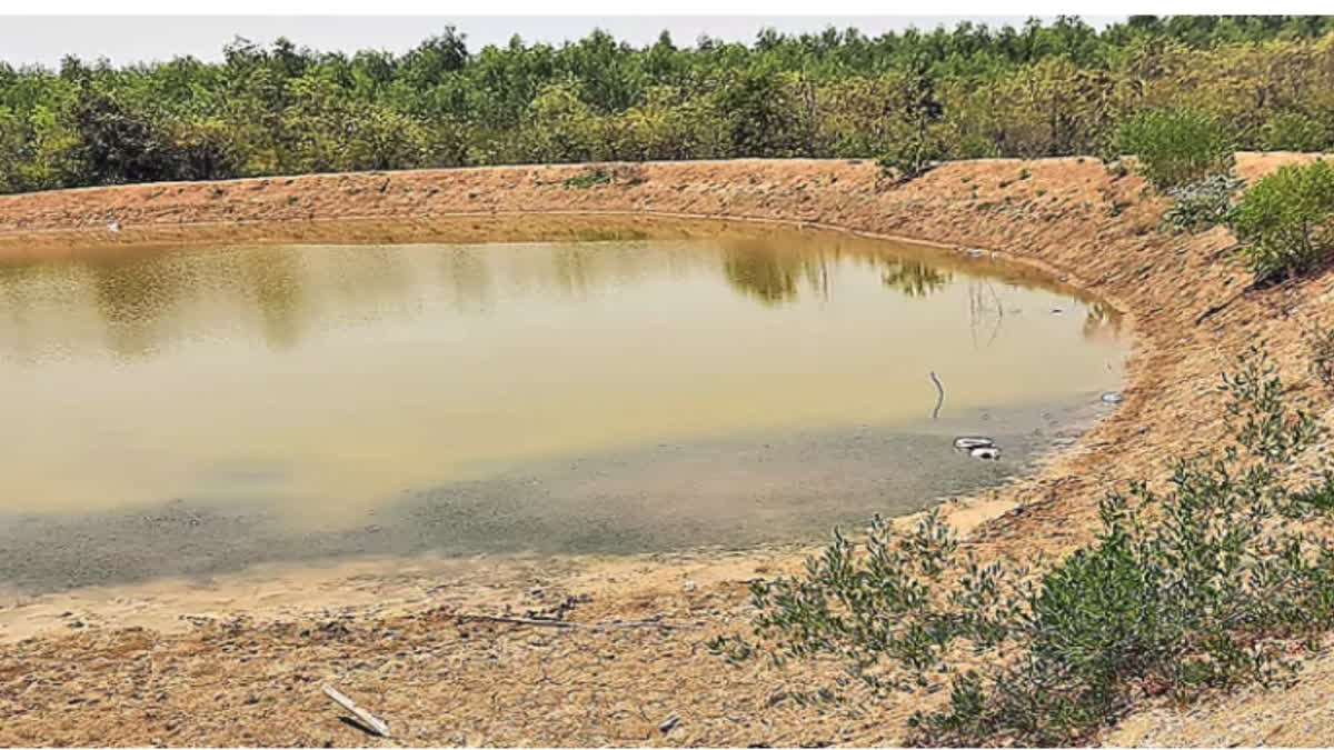 ETV Bharat News - Business - News Image