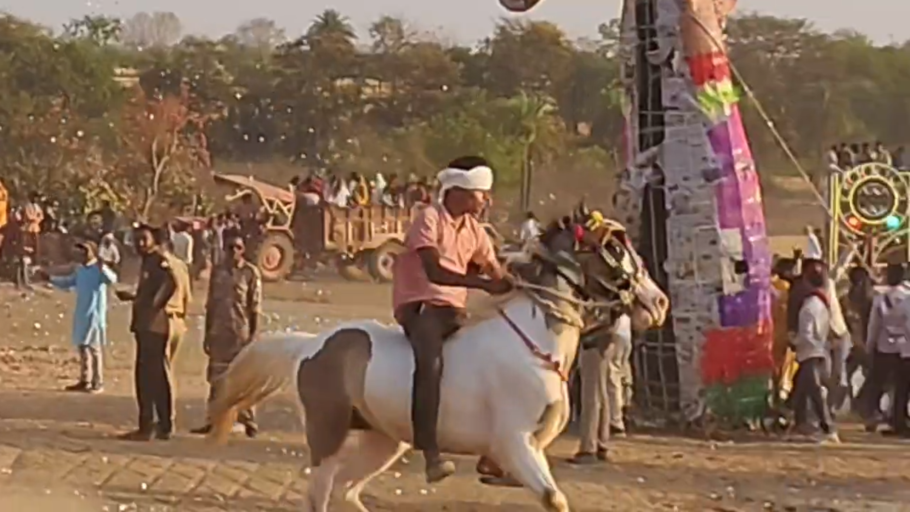 Elephant And Horse Tadka Vadh
