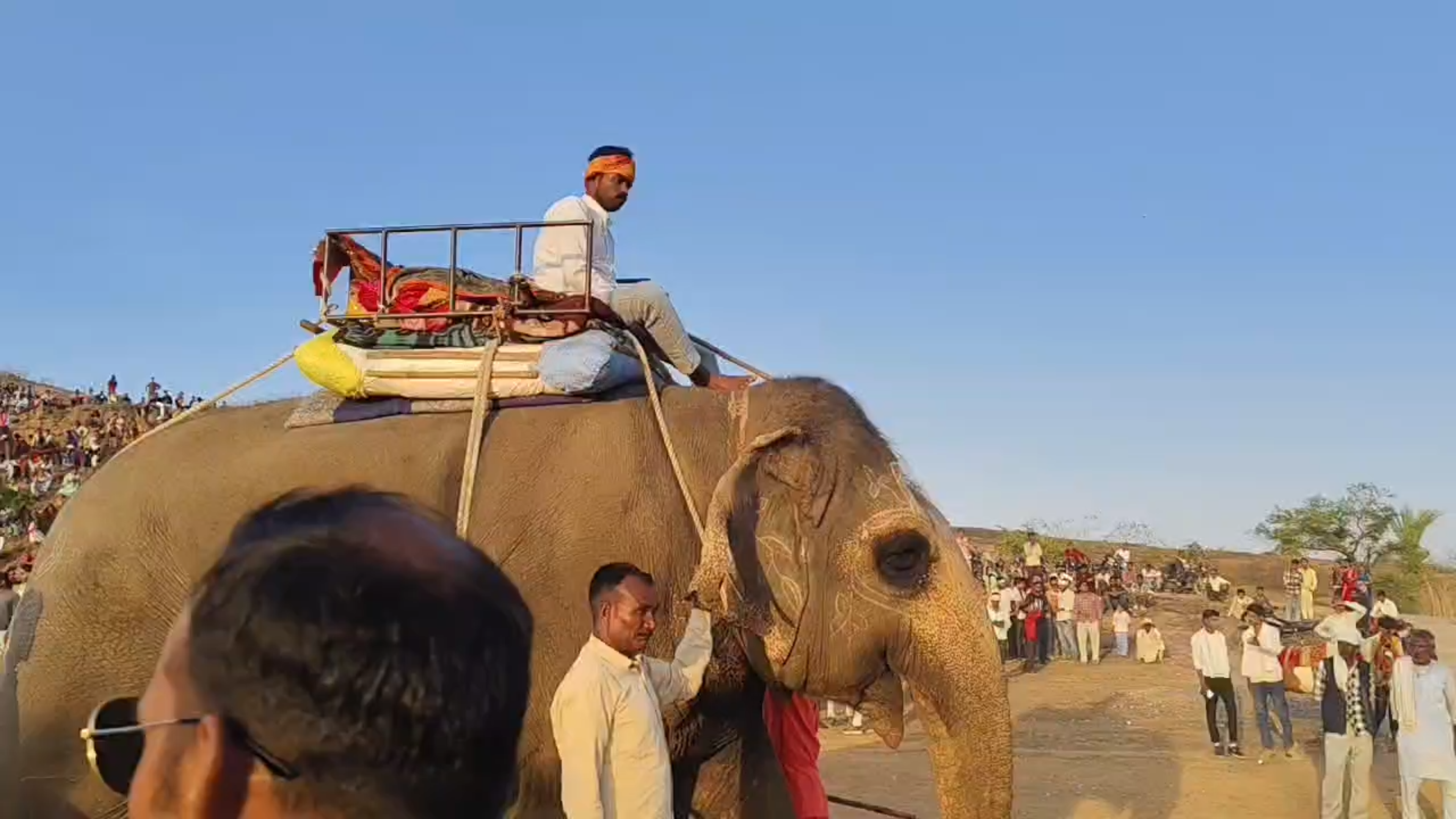 Elephant And Horse Tadka Vadh