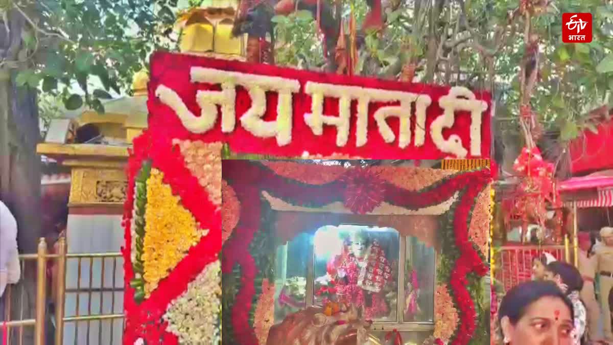 Special havan for world welfare at Mata Chintpurni Temple