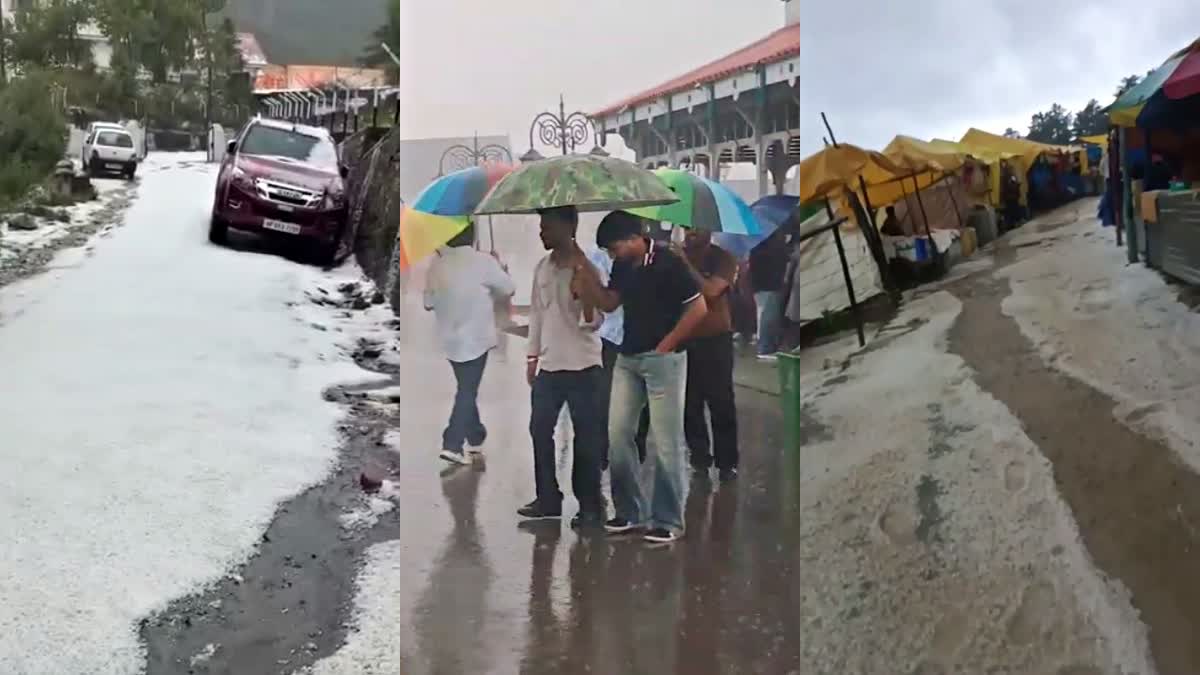 SHIMLA RAINFALL