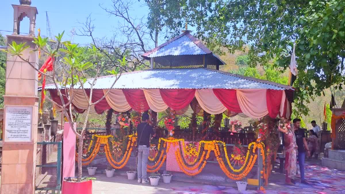 Cabinet Minister Khajan Dass Son Wedding