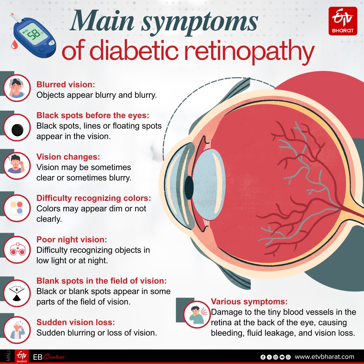 Infographic