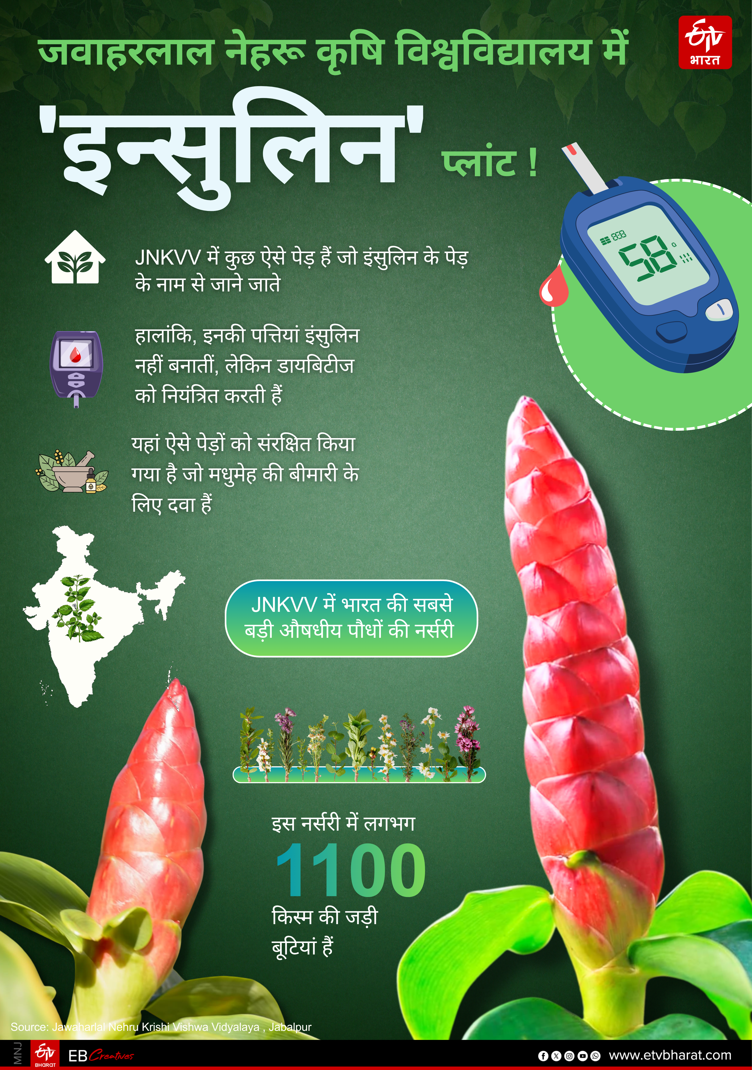 JNKVV JABALPUR
