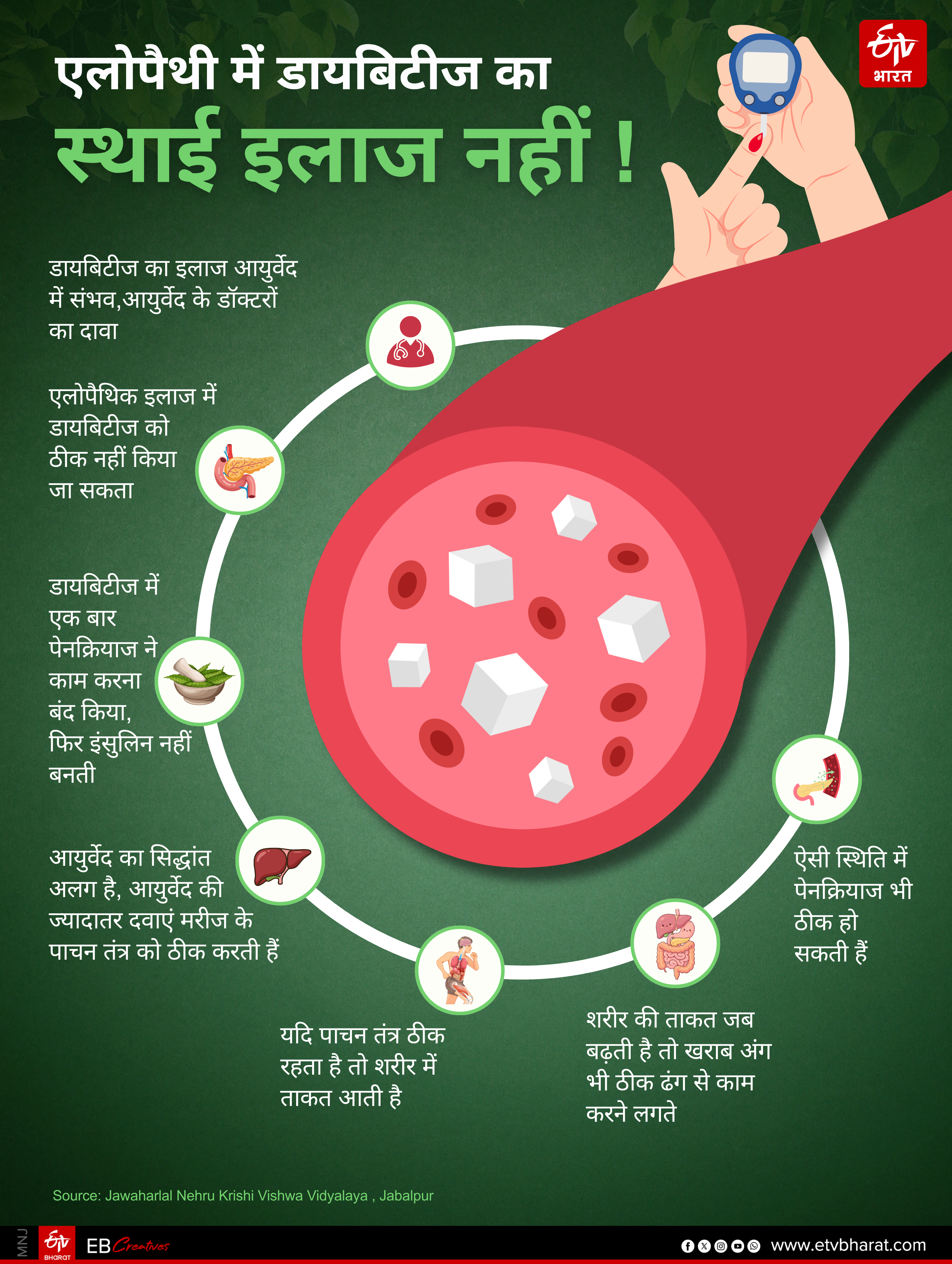 DIABETES AYURVEDIC CURE
