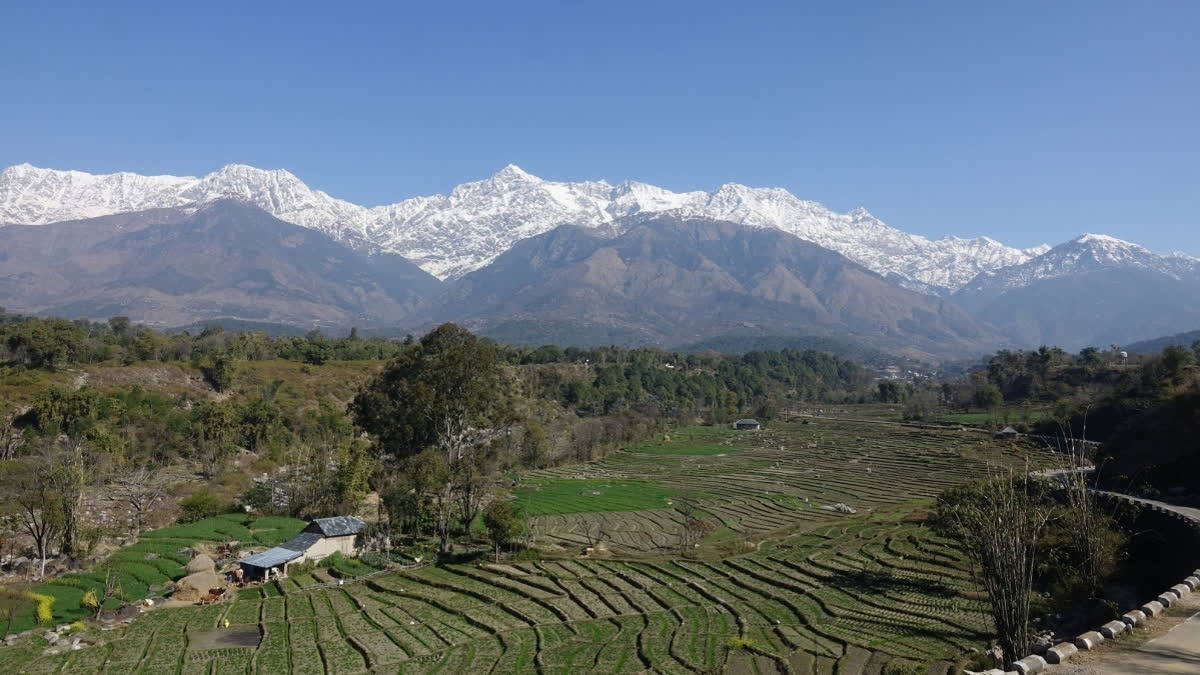 Hindu Kush Himalaya Could Lose 75 Pc Of Ice By Century's End Under Current Climate Policies: Study The Dhauladhar Range of the Himalaya covered with snow seen from Kangra district, Himachal Pradesh on Friday February 11,2022.