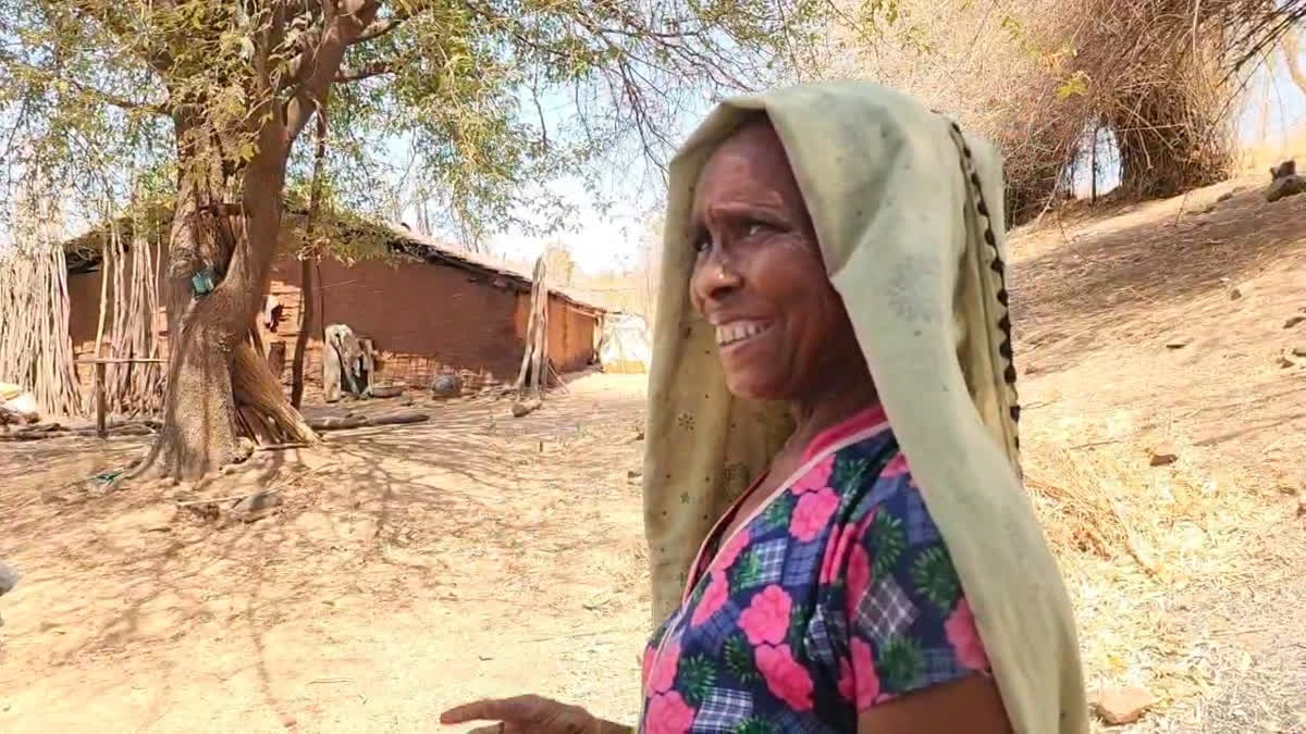 I Cook In Gujarat And Eat In Maharashtra: Tale Of One Woman & Two States I Cook In Gujarat And Eat In Maharashtra: Tale Of One Woman & Two States