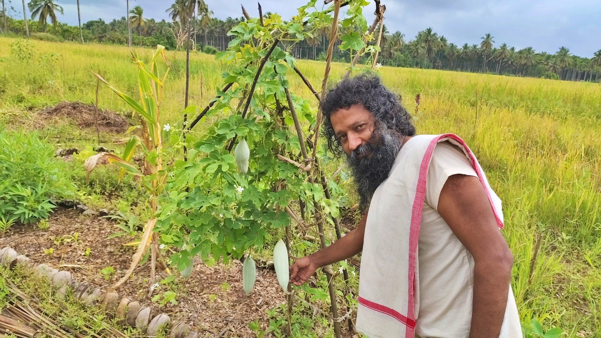 Inspired By Fukuoka, How A Davangere Farmer Lives Off The Grid, Rejects Plastics, Schools, And Supermarkets