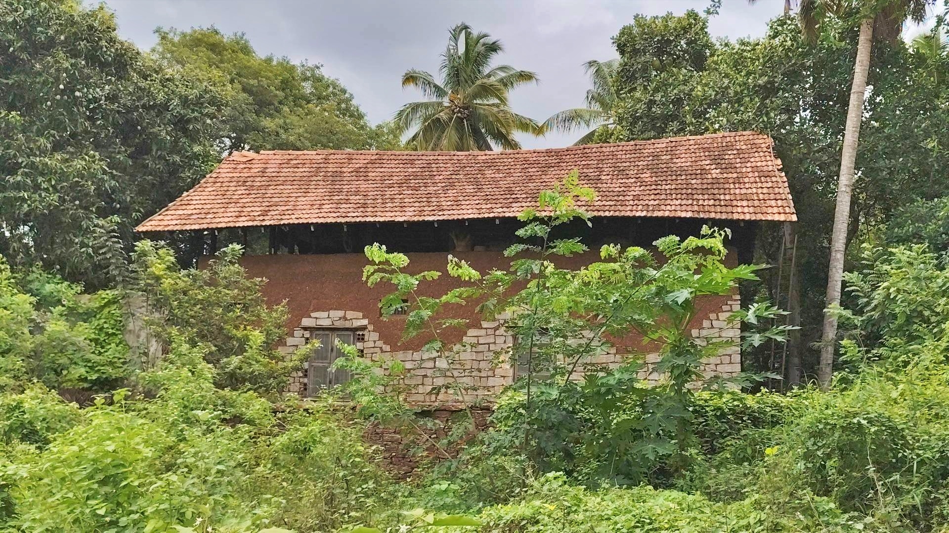 Inspired By Fukuoka, How A Davangere Farmer Lives Off The Grid, Rejects Plastics, Schools, And Supermarkets