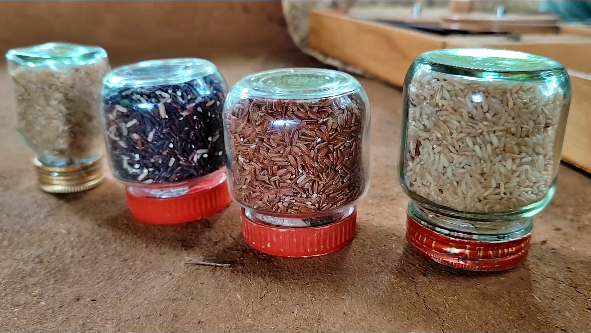 Inspired By Fukuoka, How A Davangere Farmer Lives Off The Grid, Rejects Plastics, Schools, And Supermarkets