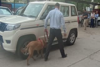 पुलिस ने चलाया सर्च ऑपेरशन