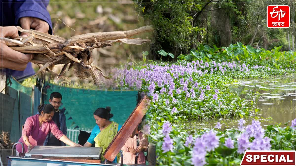 Two entrepreneurial youths from Guwahati make paper from water hyacinth