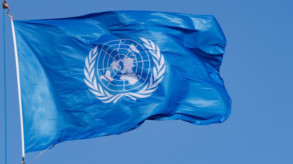 UN PEACEKEEPING FORCE