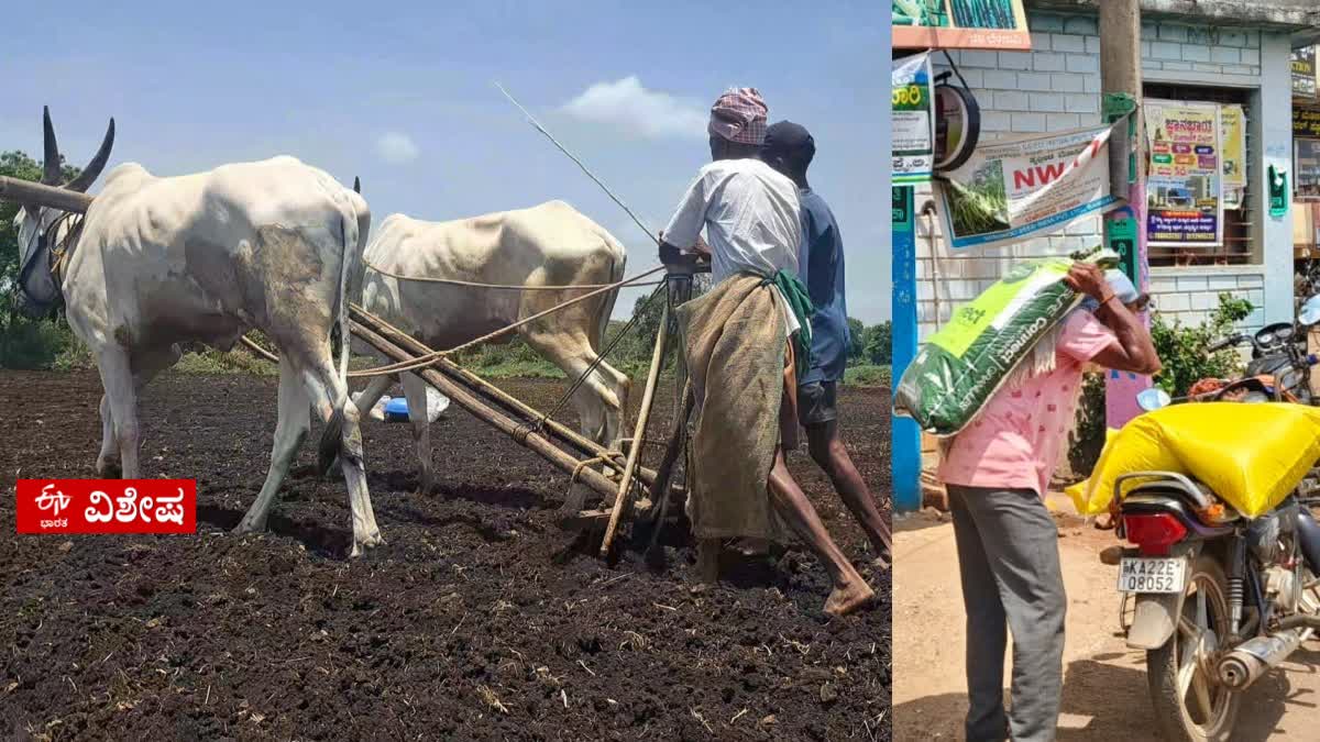 the-demand-for-fertilizer-in-belagavi-has-increased-but-the-farmers-are-not-being-supplied-in-the-required-quantity