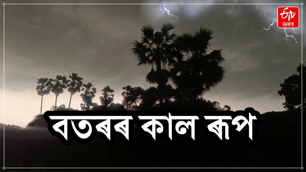 weather report