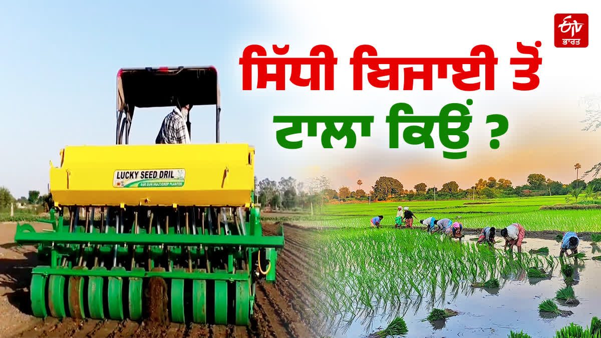 DIRECT SOWING