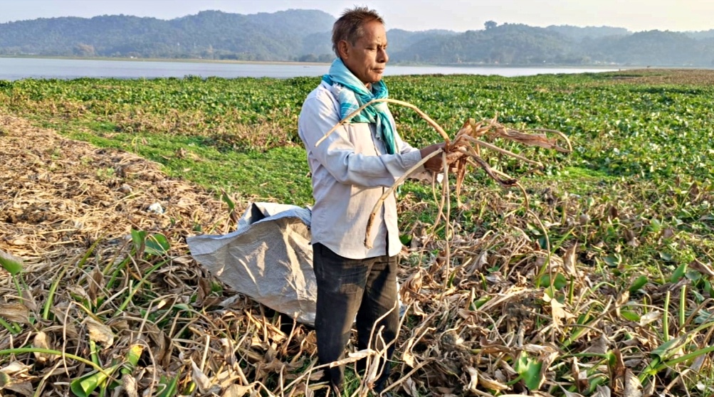 Two entrepreneurial youths from Guwahati make paper from water hyacinth