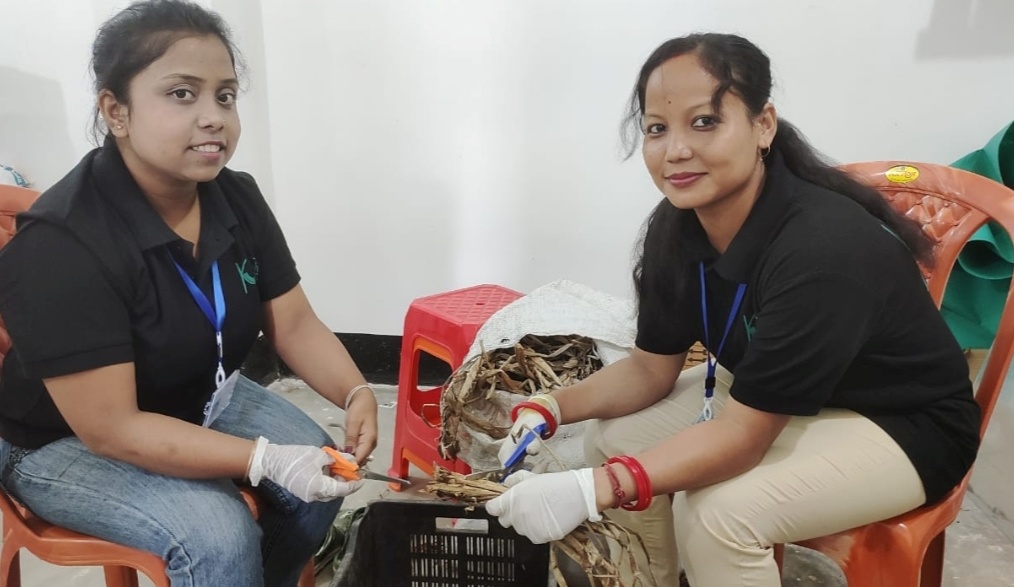 Two entrepreneurial youths from Guwahati make paper from water hyacinth